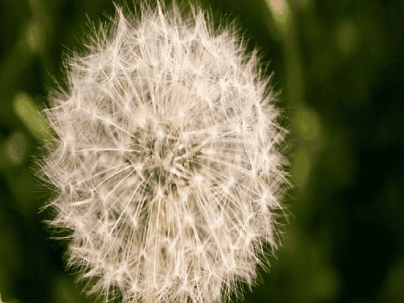 测试管理手段试管宝宝的坏处45度光学试管